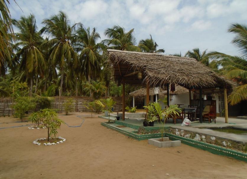 Other Photo