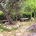 Outdoors view