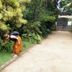 Outdoors view