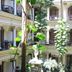 The Grand Palace Hotel Malang courtyard with colonial balconies and lush tropical greenery