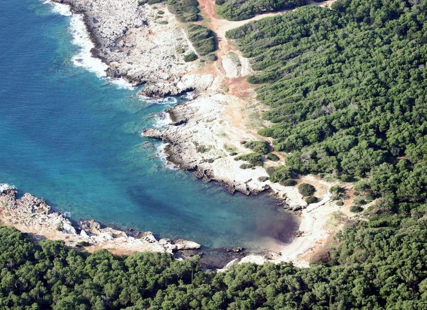 Other Photo