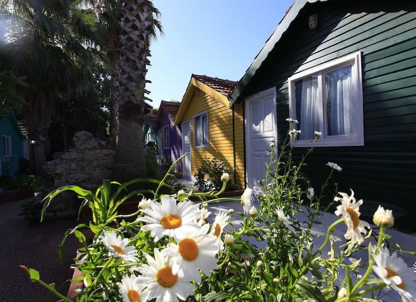 Outdoors view Photo
