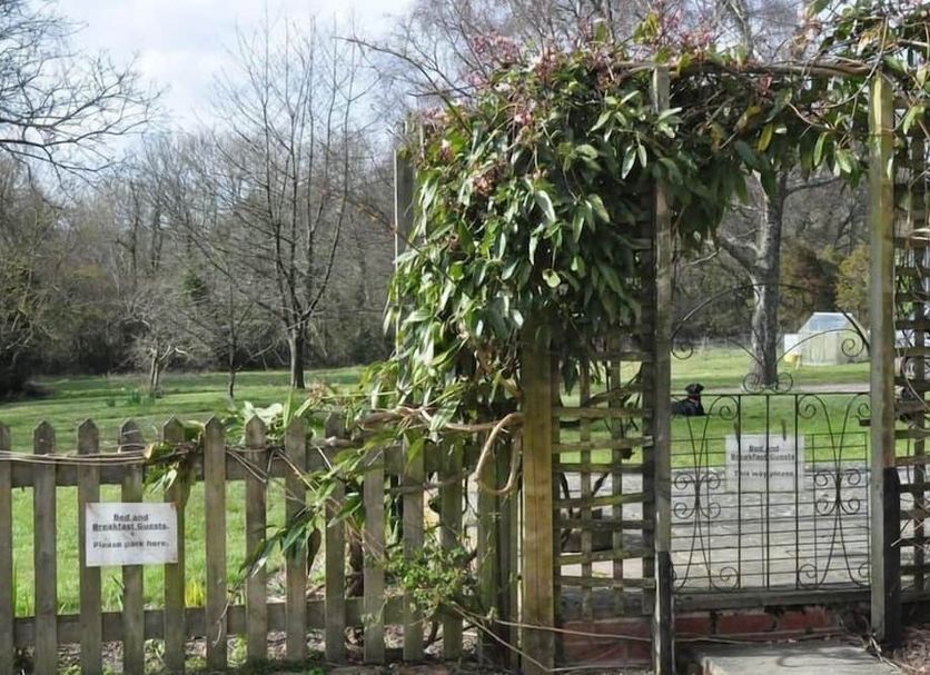 Outdoors view Photo