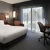 Courtyard by Marriott Los Angeles Torrance/Palos Verdes guest room with king bed and floor-to-ceiling windows