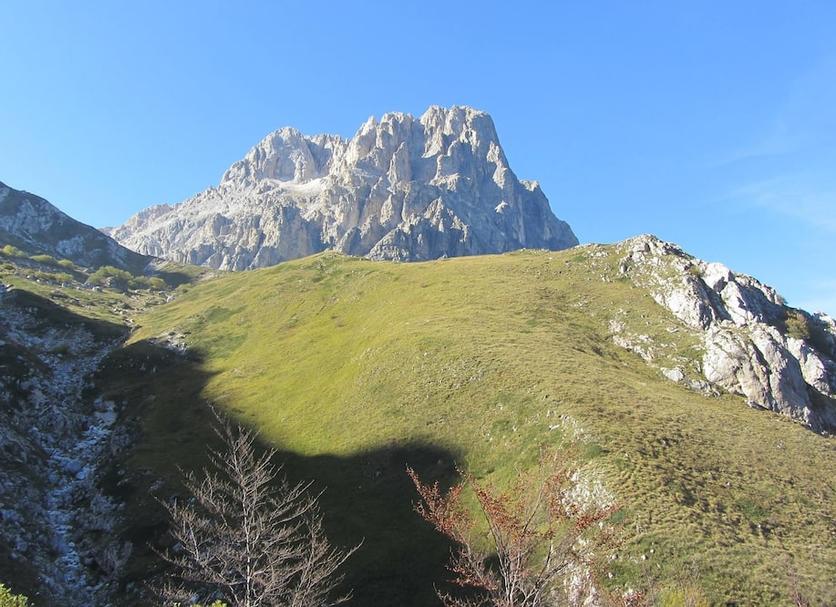 Other Photo