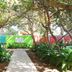 Colony Hotel & Cabana Club in Delray Beach, colorful cabana buildings along a garden path