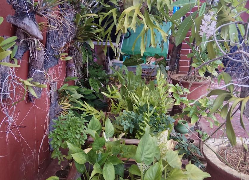 Outdoors view Photo