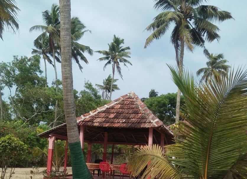 Outdoors view Photo
