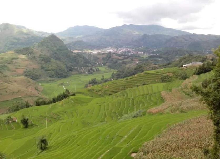 Outdoors view Photo