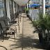 Pyramid Resort Motel in Wildwood Crest with poolside patio seating and palm plants beside the outdoor pool.