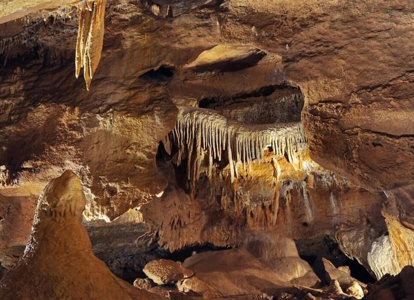 Other Photo