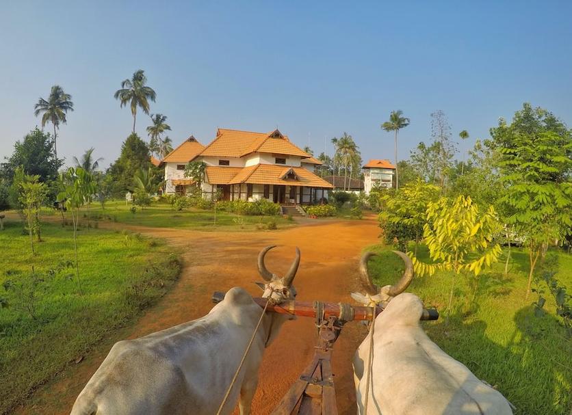 Outdoors view Photo