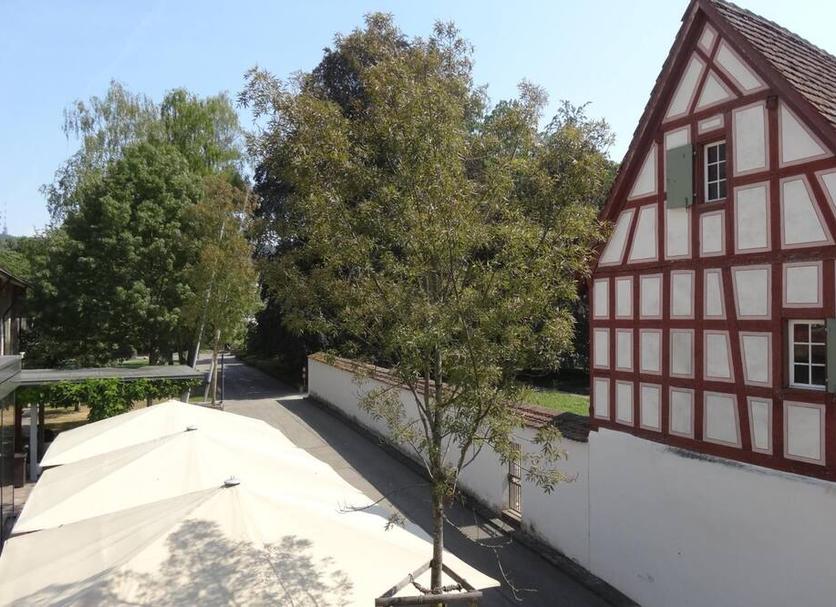 Outdoors view Photo