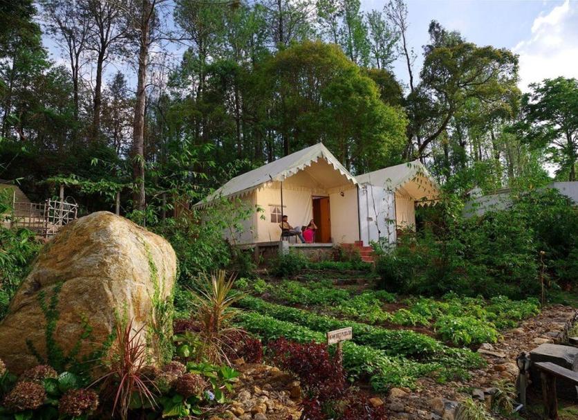Outdoors view Photo