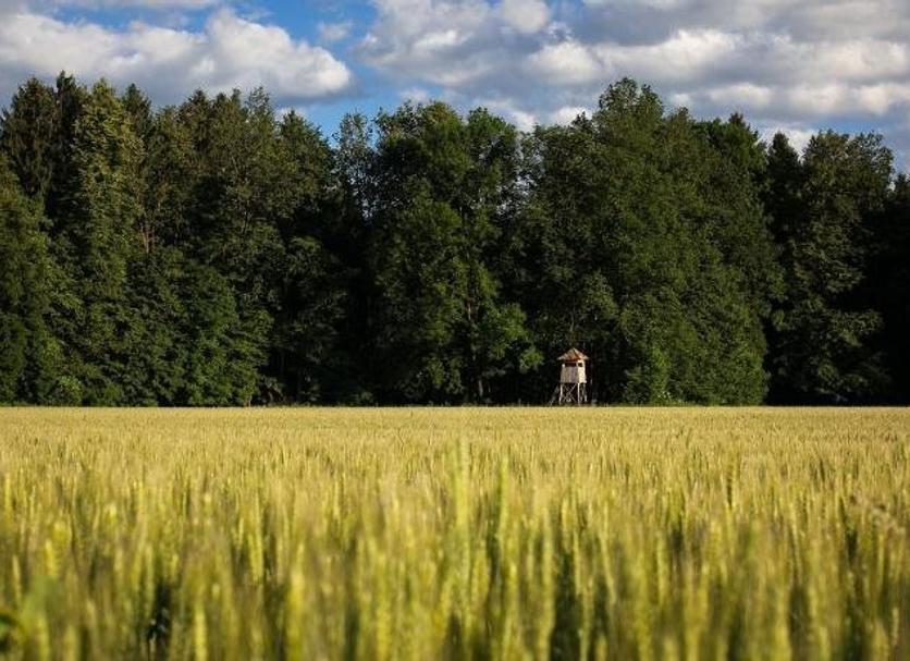Outdoors view Photo