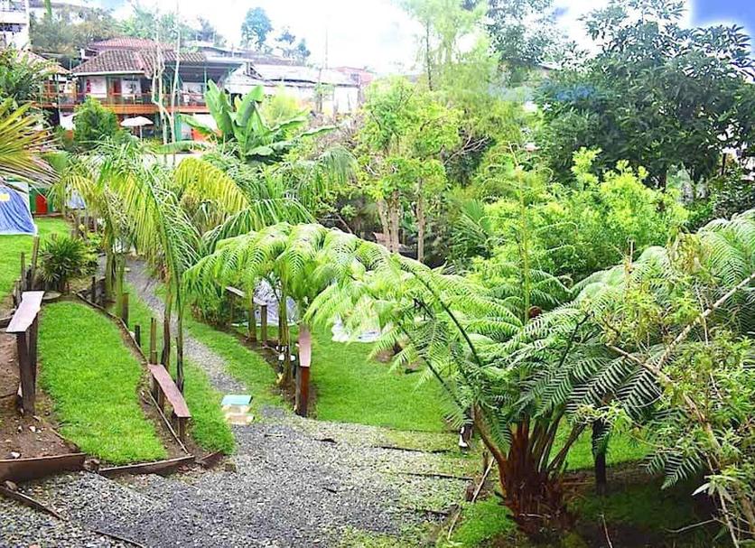 Outdoors view Photo