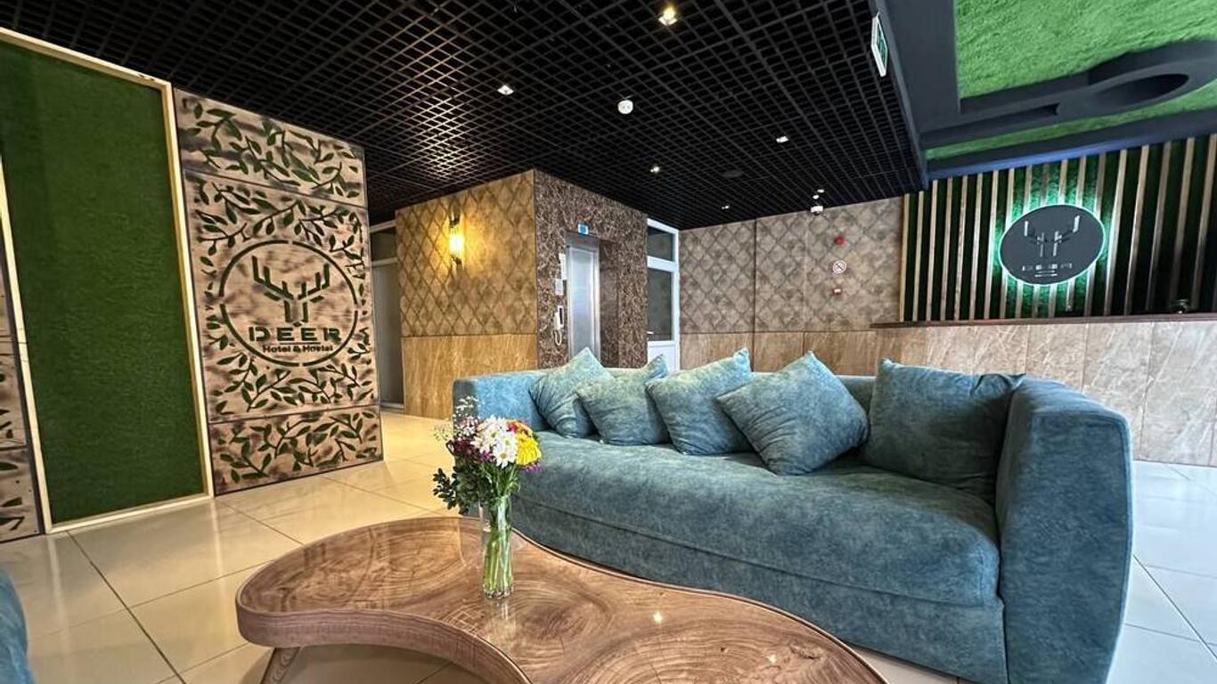 Deer Hotel & Hostel