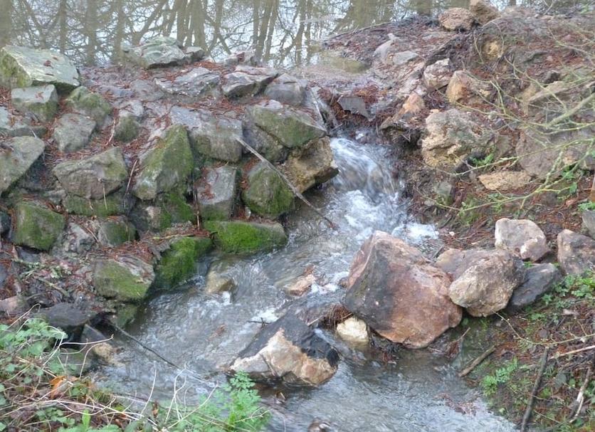 Other Photo