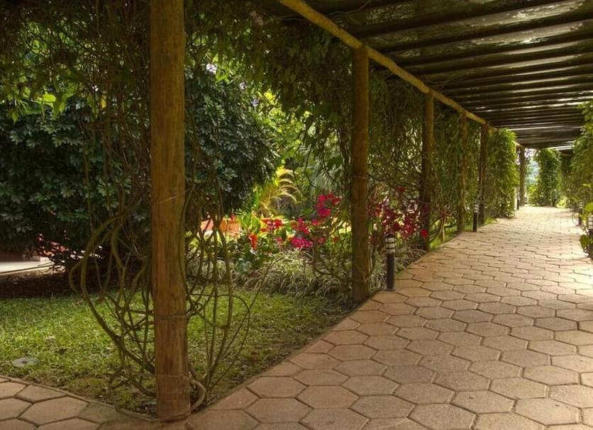 Outdoors view Photo
