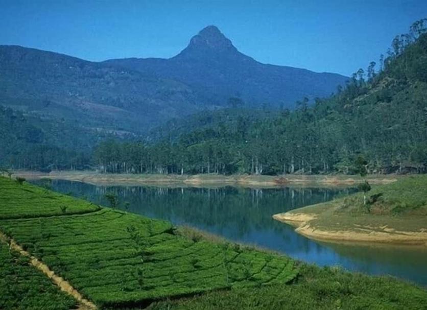 Outdoors view Photo
