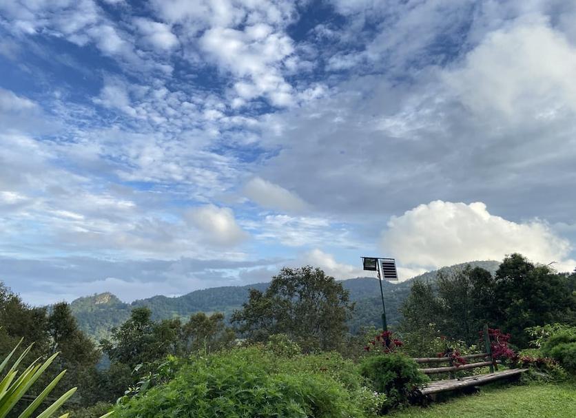 Outdoors view Photo