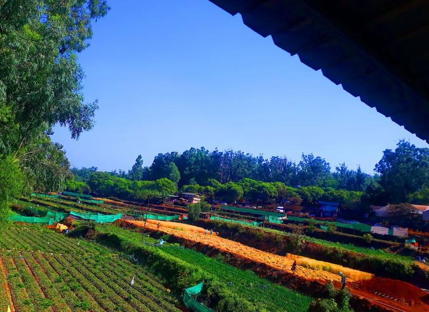Outdoors view Photo