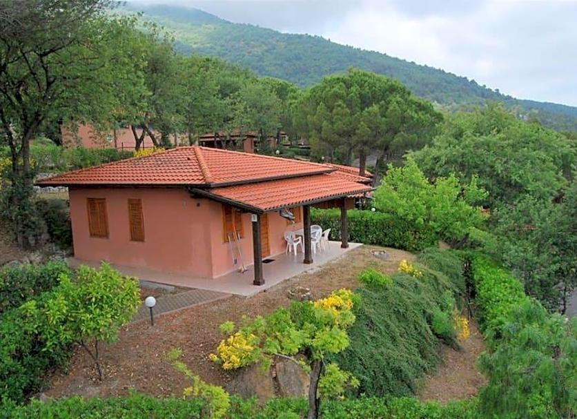 Other Photo