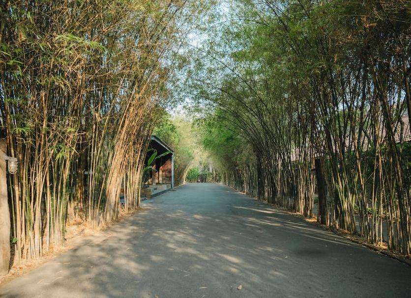 Outdoors view Photo