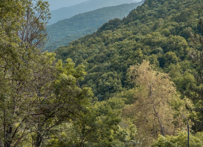 Outdoors view Photo