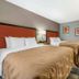 Spark By Hilton Evansville Downtown guest room with two double beds and desk in Evansville