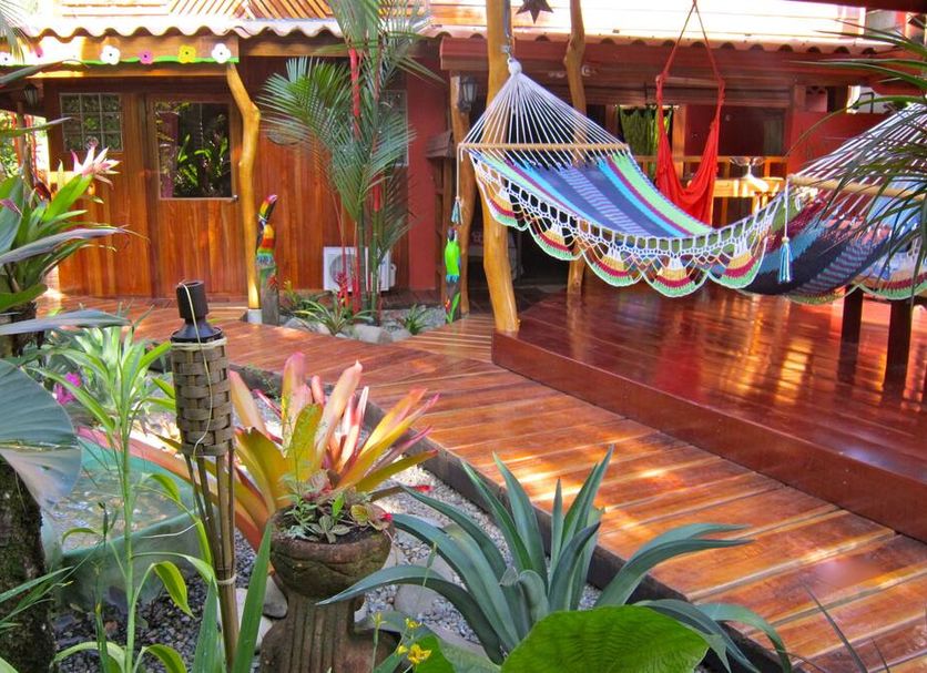 Physis Caribbean Bed & Breakfast in Cocles with colorful hammocks and a tropical wooden deck