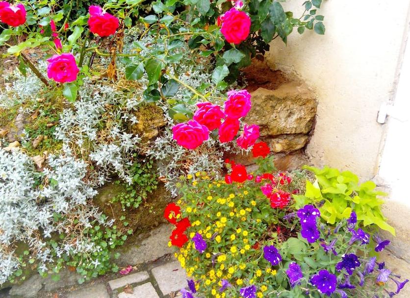 Outdoors view Photo
