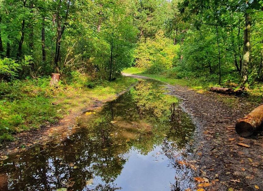 Outdoors view Photo
