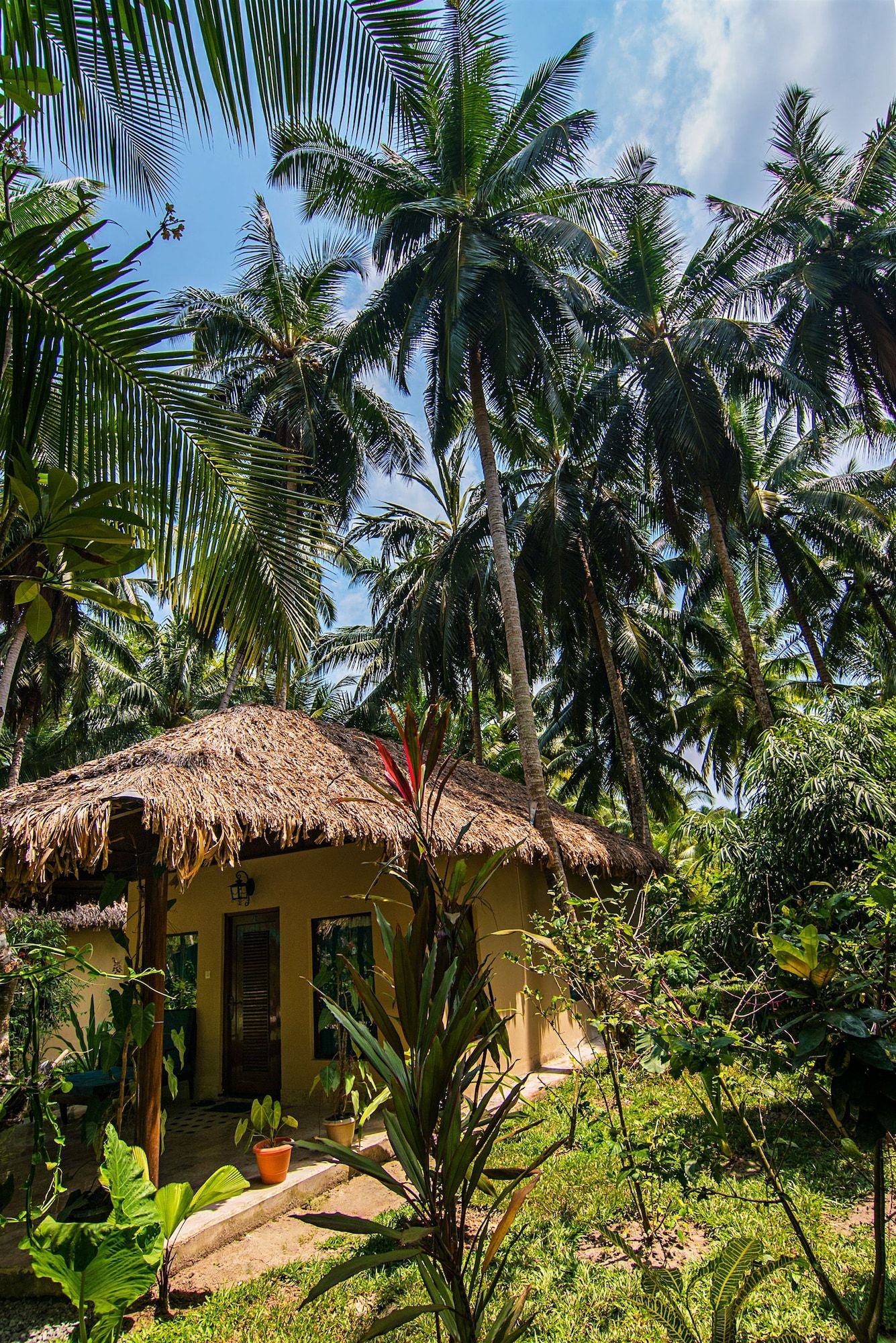 Outdoors view