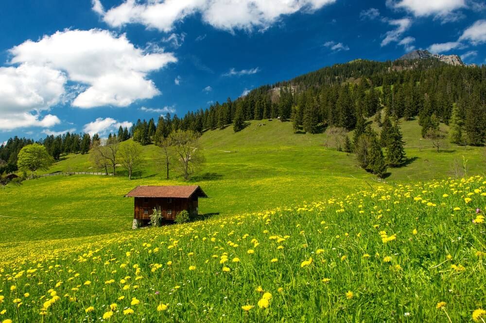 Outdoors view