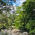 Cabinas La Catarata, La Fortuna: lush tropical river with rocks and dense rainforest greenery