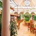 Plaza Magnolias in San Cristóbal de las Casas, courtyard restaurant with skylit atrium and wooden tables
