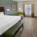 Best Western Plus Duncanville Dallas guest room with king bed, desk, armchair and window view