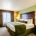 Cobblestone Hotel & Suites - Mccook guest room with king bed, desk, and window view in McCook