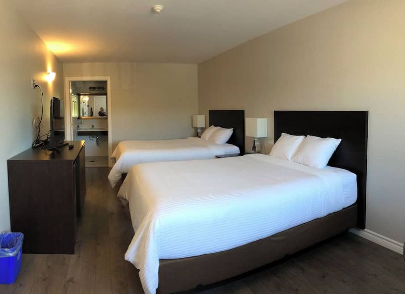 Kow'S Inn North Sydney guest room with two double beds and dresser