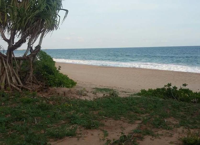 Beach Photo