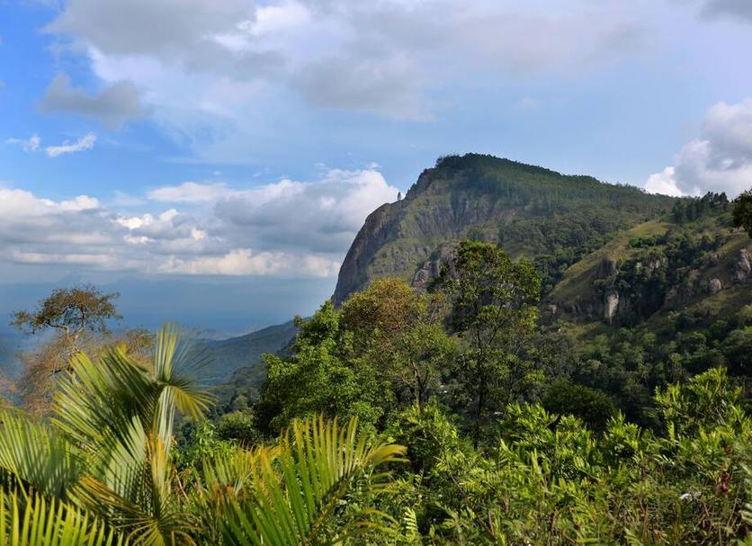 Outdoors view Photo