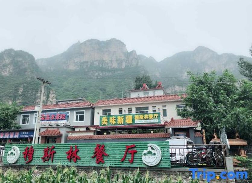 Other Photo