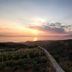 Euphoria Estate Messinia in Avia with sunset sea view over hills and garden terraces