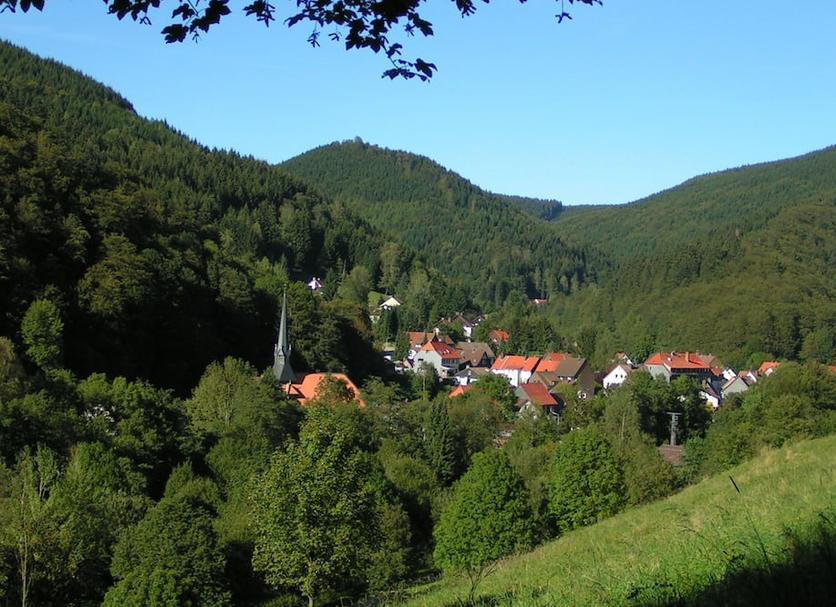 Other Photo