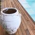 Byron Springs in Byron Bay features a wooden pool deck beside a bright blue pool and a large white planter.