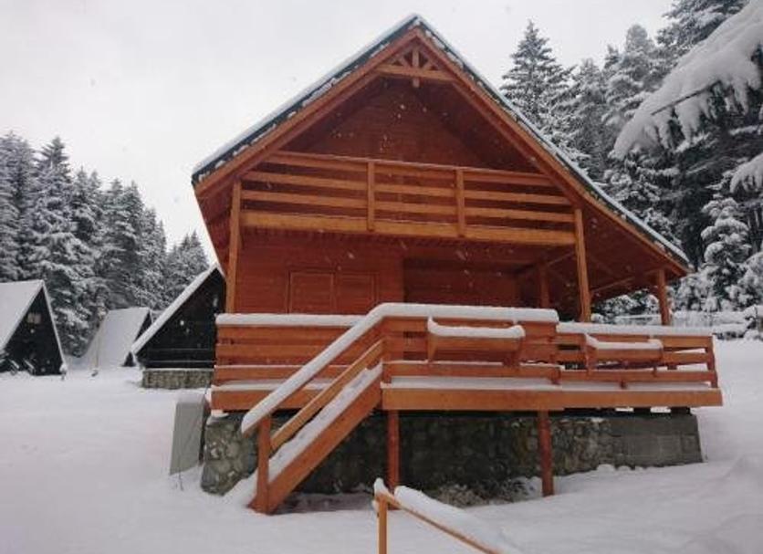 Other Photo