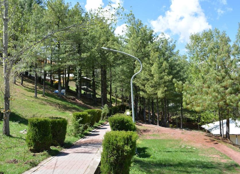 Outdoors view Photo