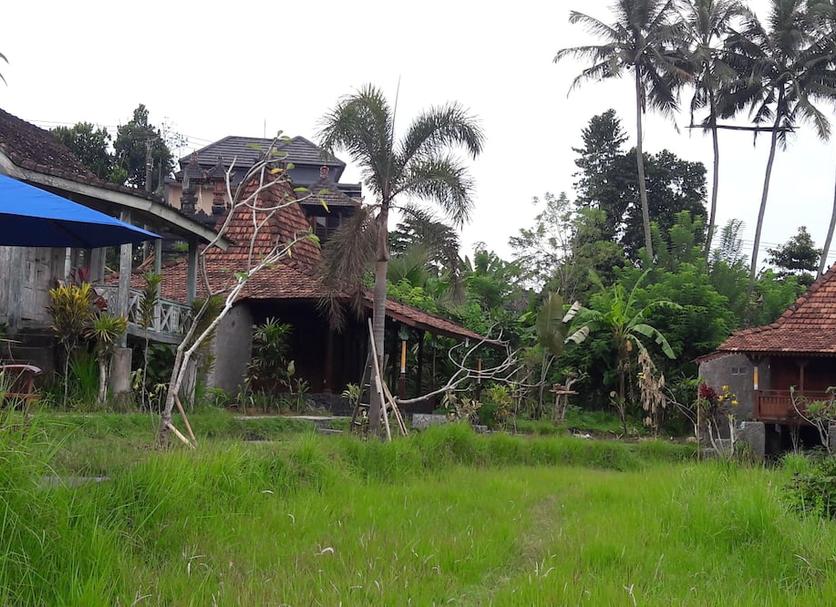 Other Photo