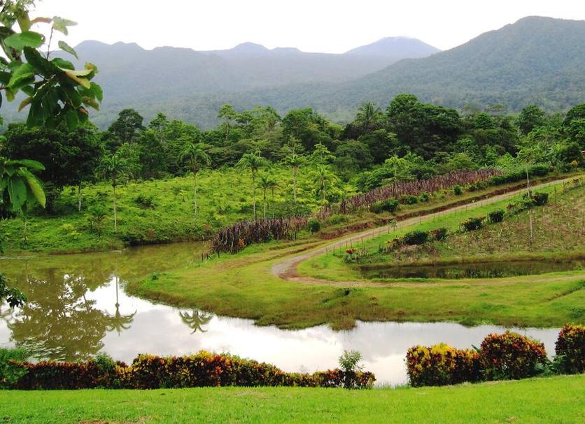Outdoors view Photo